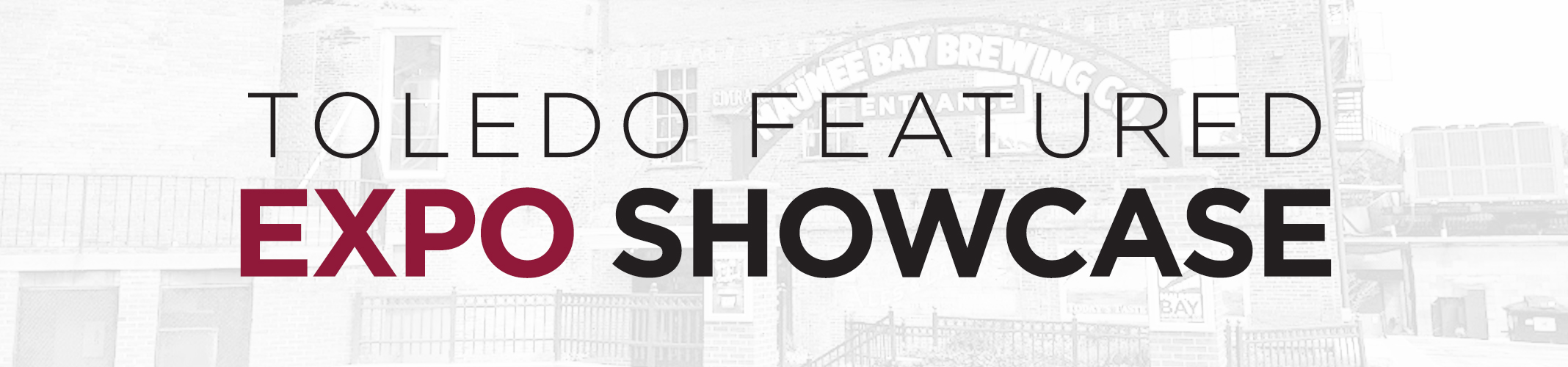 banner_toledo-expo